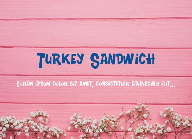 Turkey Sandwich example